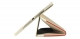 Чехол iBacks Case Business Series Champagne для iPad Air 2