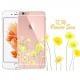 Kingxbar The Wonderful Wizard Of Oz Series for iPhone 6/6S Flower Sea